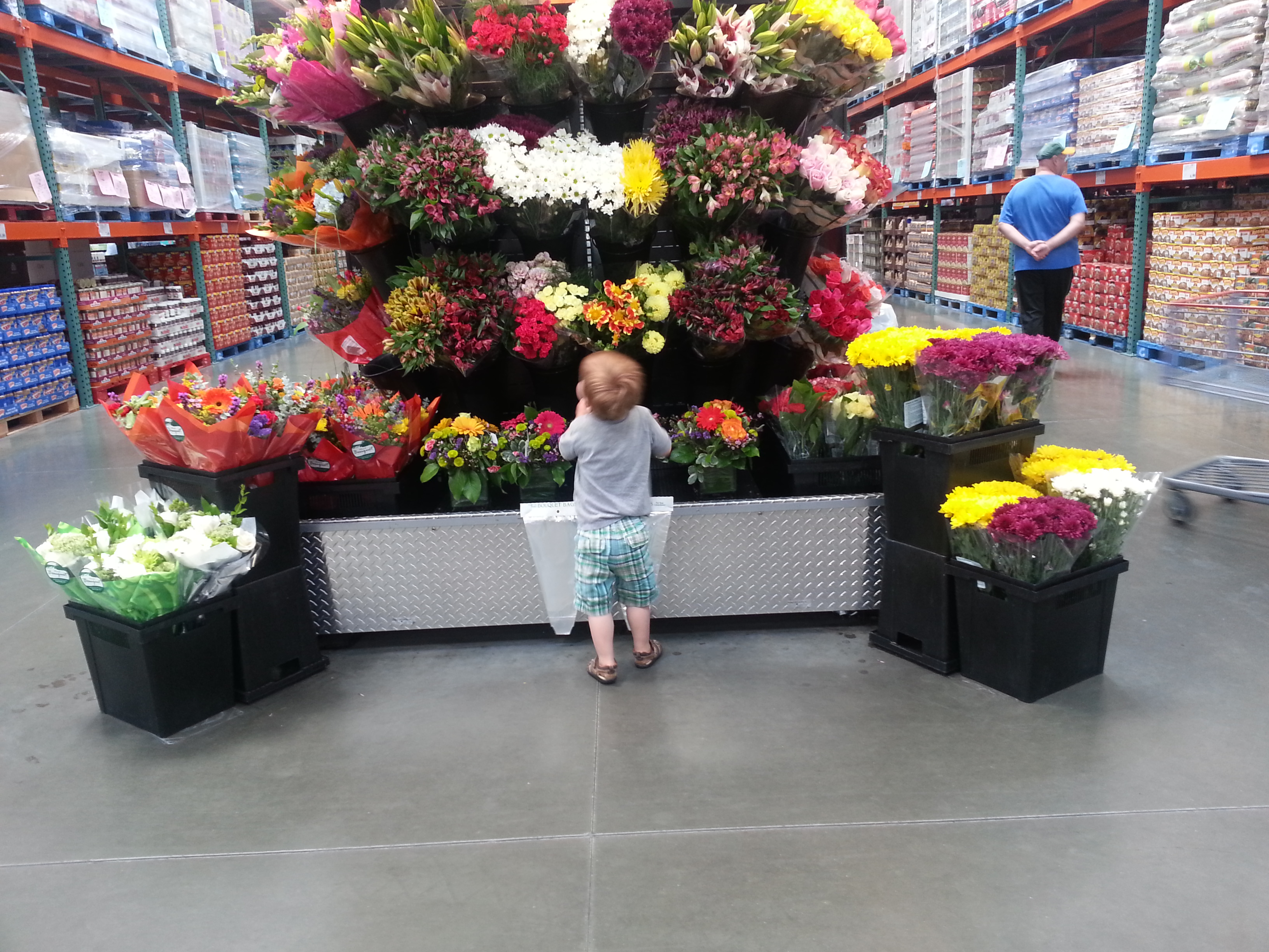 Roman smelling flowers